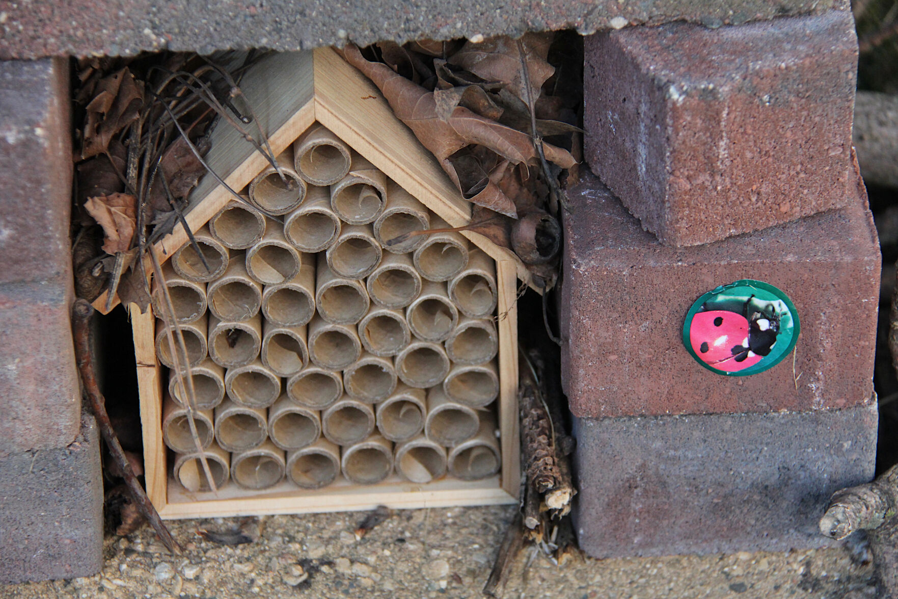 bee-lawn-3960-closeup-house-with-circles.jpg